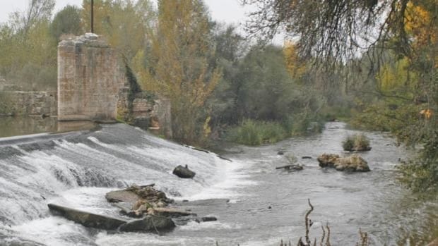 El Duero, Adaja y Órbigo mantienen la alerta por elevados caudales en Valladolid y Zamora