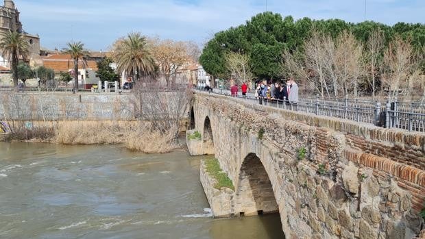 Arranca el expediente para declarar BIC el Puente Viejo de Talavera de la Reina