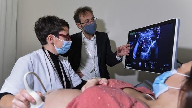 Científicos españoles descubren cómo la placenta materna protege a los fetos del coronavirus