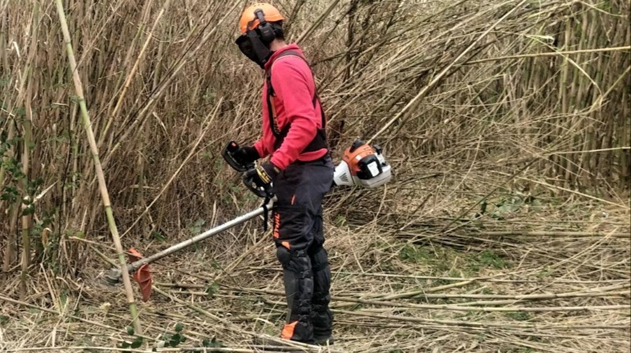 Imagen de trabajadores de Hidraqua en el proyecto Guardian