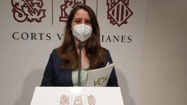 VOX pide que el 8M sea declarado Día Nacional de las Víctimas del Coronavirus