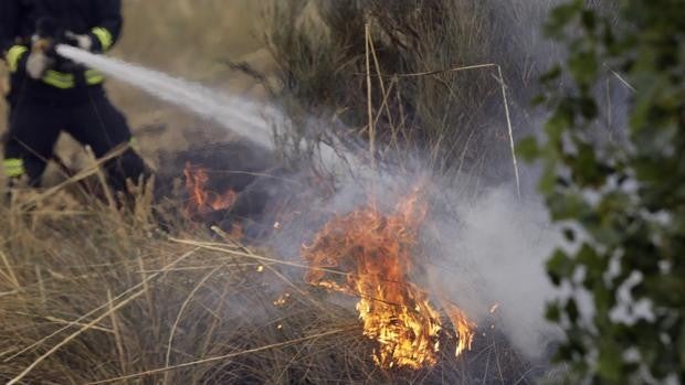 Investigan a un hombre por hasta seis incendios forestales en Oteruelo de la Valdoncina (León)