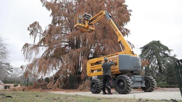 Un retén 24 horas atenderá las emergencias en las zonas verdes de Madrid