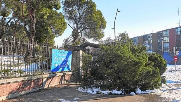 Las zonas verdes de Madrid estarán vigiladas 24 horas para actuar ante emergencias