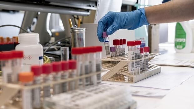 La cepa británica del coronavirus supone ya la mitad de los nuevos contagios detectados en Valencia