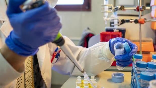 La cepa británica ya supone la tercera parte de los contagios del Covid en Aragón