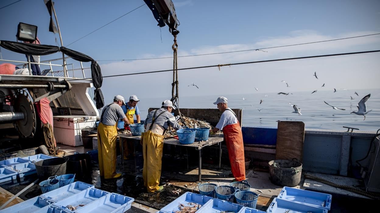 Los pescadores seleccionan la basura recogida del fondo del mar antes de la pandemia