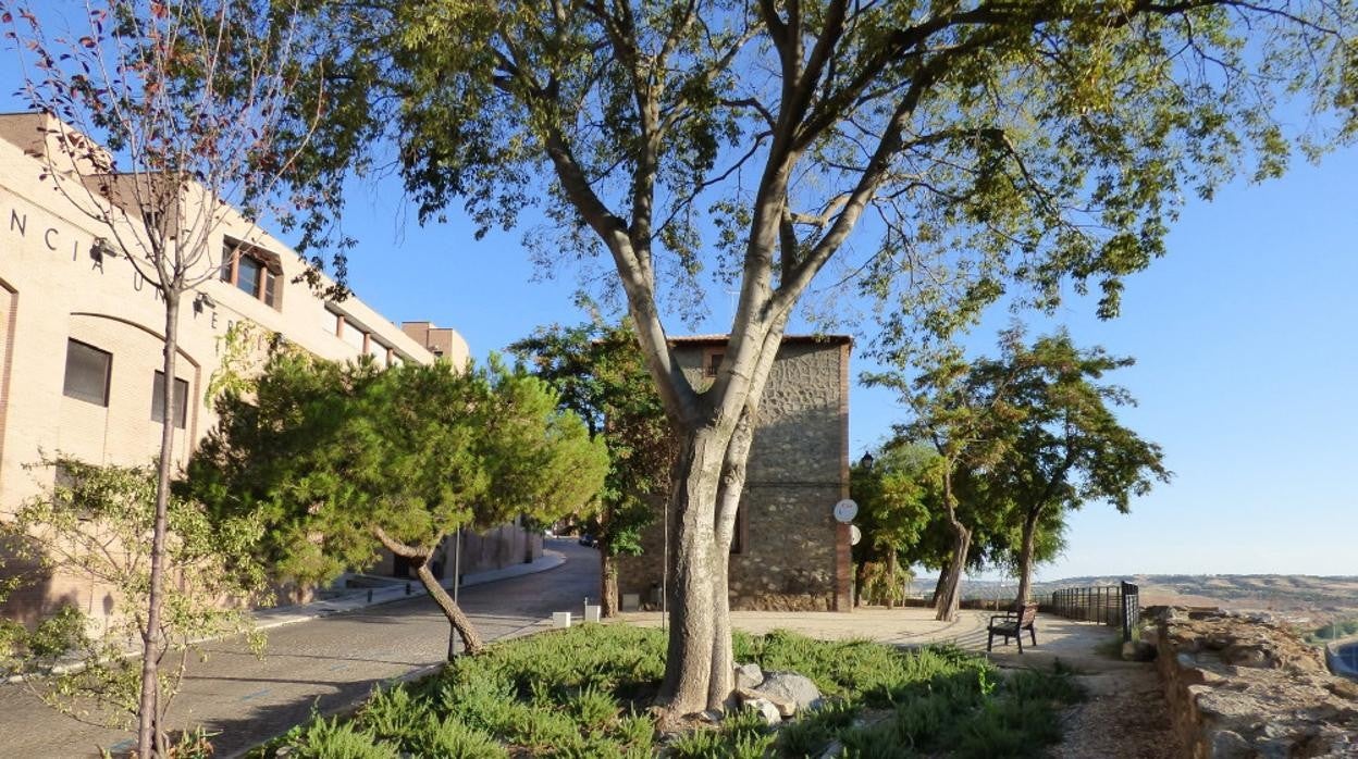 Extremo del paseo del Carmen, ampliado en 1882, hacia el postigo de Doce Cantos. Al fondo se situaba el cementerio de la Caridad