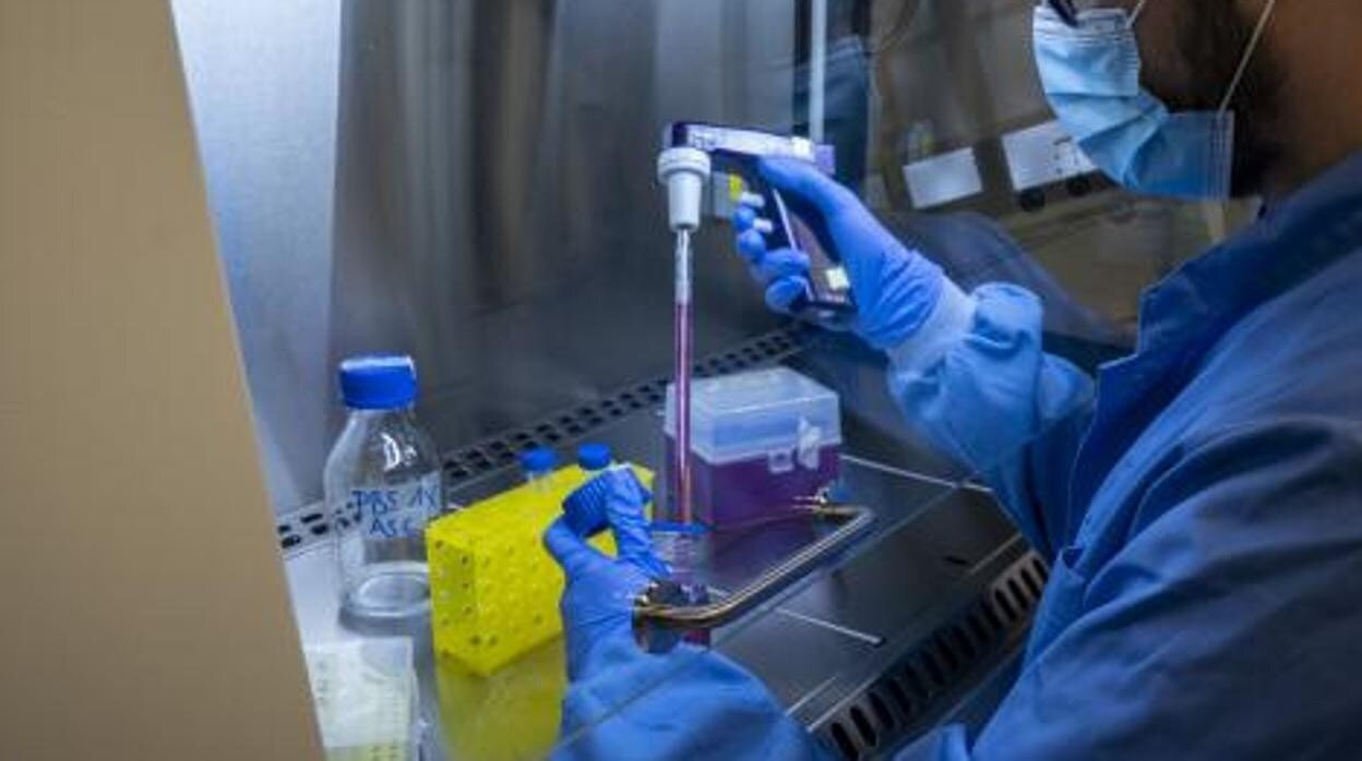 Un investigador trabaja en un laboratorio de biotecnología en IMDEA