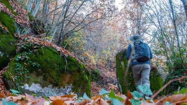 Salamanca invita a conocer su «Naturaleza escondida» con nueve rutas guiadas