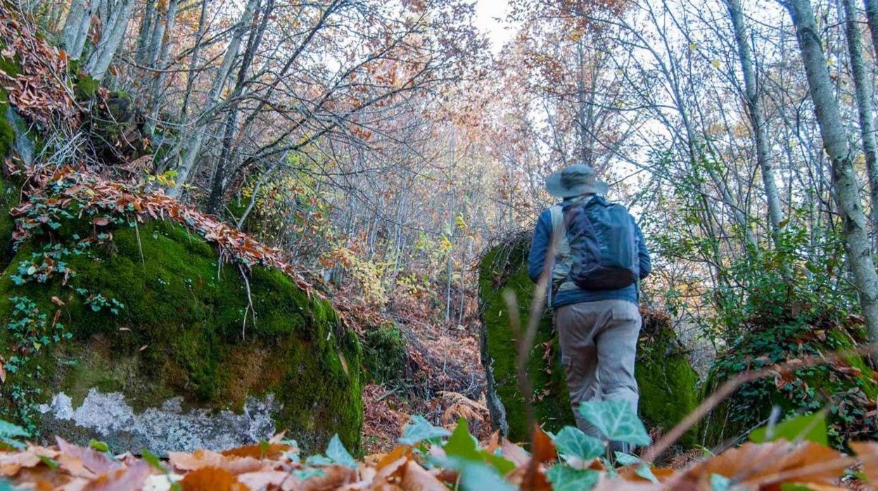 Salamanca invita a conocer su «Naturaleza escondida» con nueve rutas guiadas