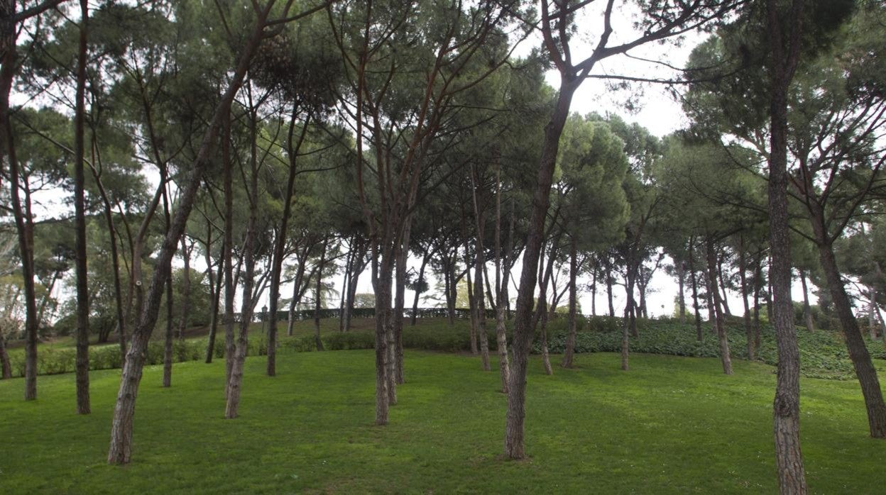 El Parque del Oeste, lugar donde se cometieron los presuntos abusos sexuales