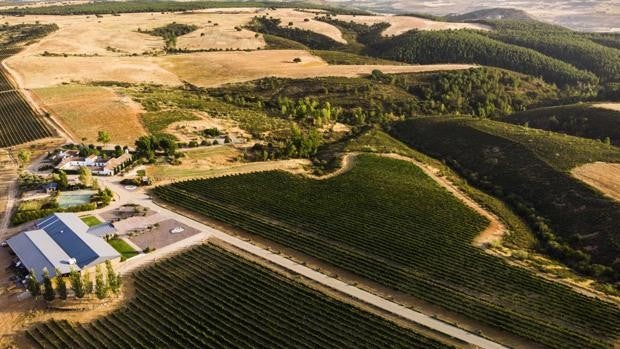 La bodega guadalajareña Finca Río Negro, nuevo miembro de Cervim por sus viñedos de montaña