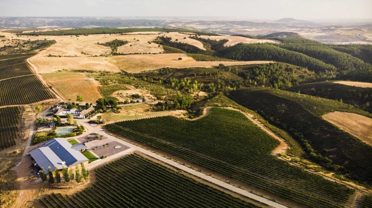 La bodega guadalajareña Finca Río Negro, nuevo miembro de Cervim por sus viñedos de montaña