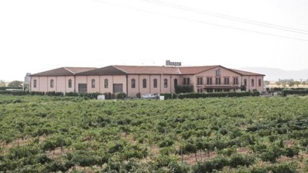 Bodegas Mureda: la mayor extensión mundial de viñedos ecológicos en manos privadas