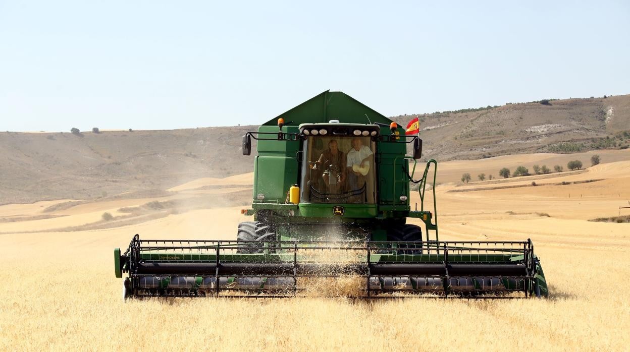 Cosecha de cereal, a la que está muy ligado el PIB de Castilla y León