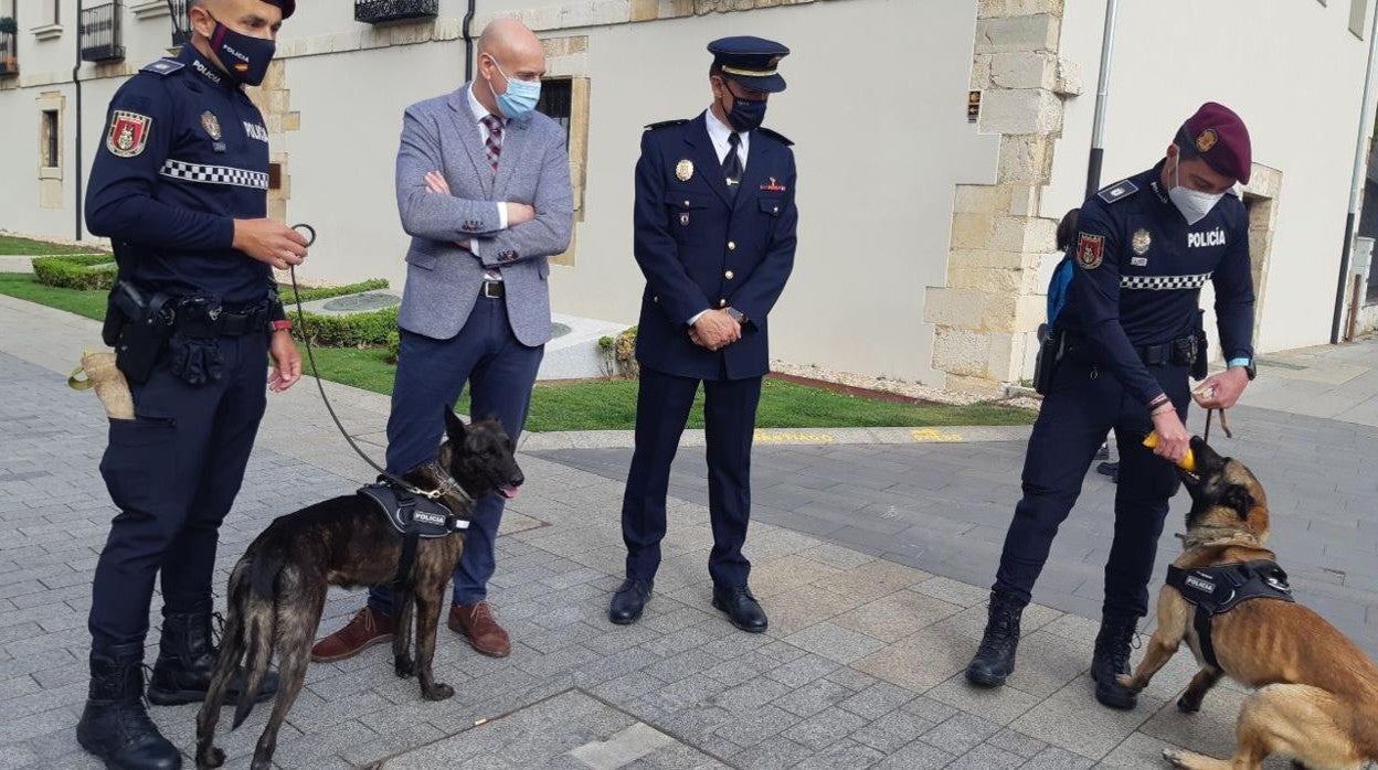 La Policía Local de León pone en marcha una campaña especial de control de perros