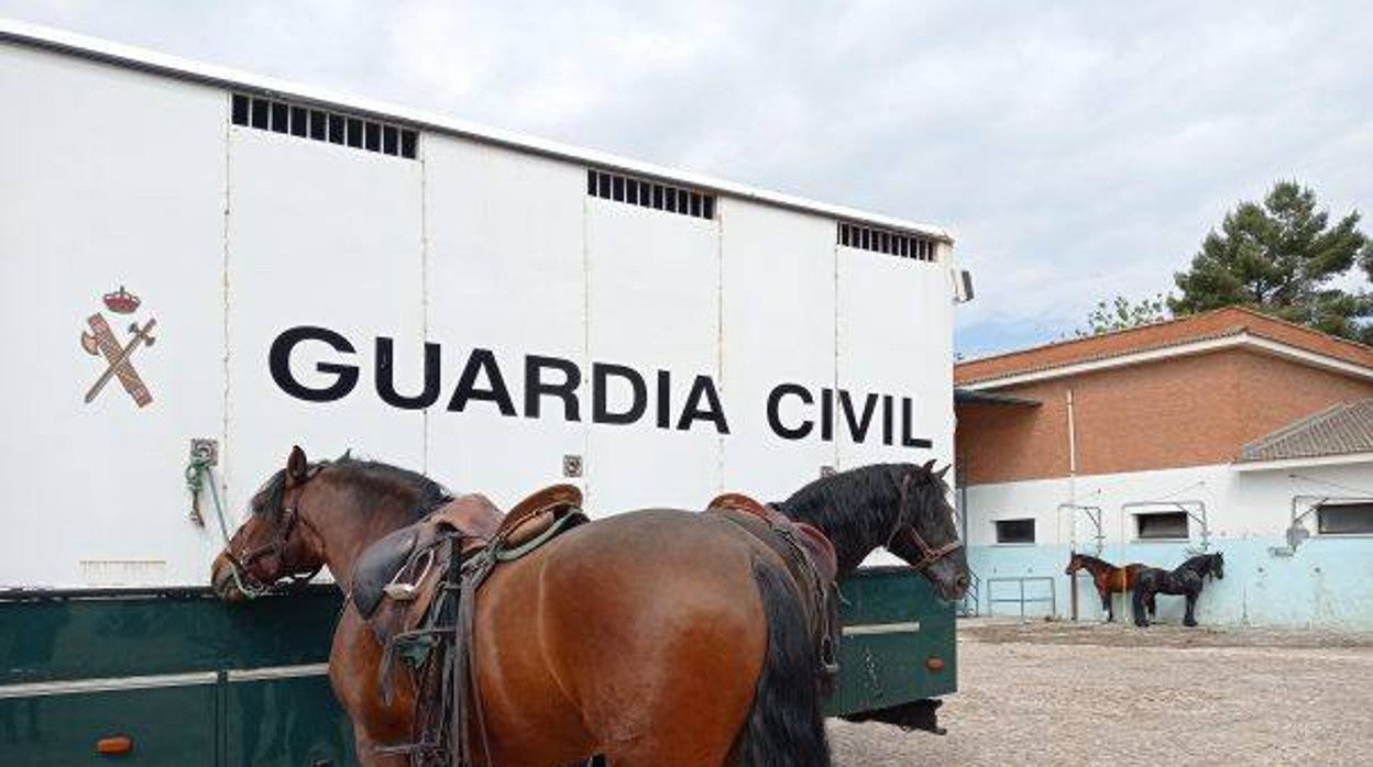 Uno de los camiones que el Escuadrón de Caballería usa para desplazarse