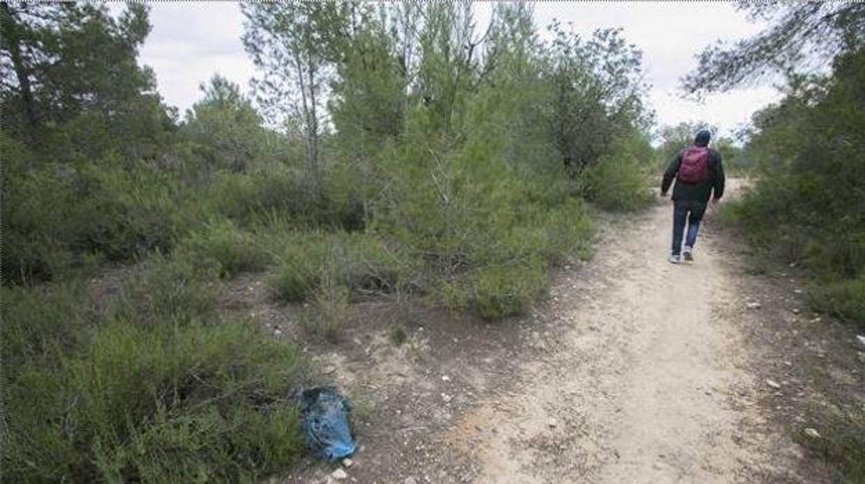 Imagen del sendero cercano al lugar donde aparecieron los restos humanos en Picassent