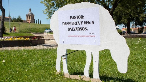 Colocan «ovejas descarriadas» en Ciudad Rodrigo para exigir el nombramiento de un obispo