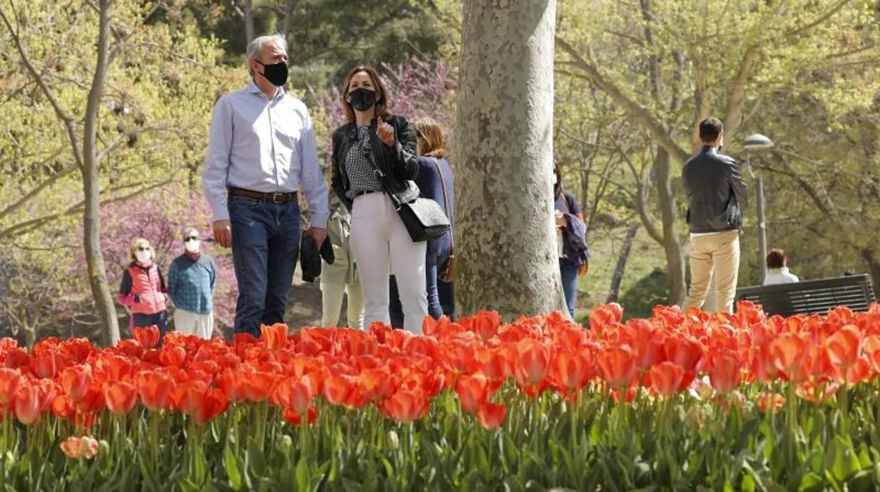 El alcalde de Zaragoza, Jorge Azcón, y su consejera municipal de Servicios Públicos, Natalia Chueca, observando las últimas plantaciones florales realizadas en el Parque Grande