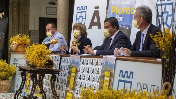 El Festival del Piorno en Flor volverá a teñir la provincia de Ávila de amarillo