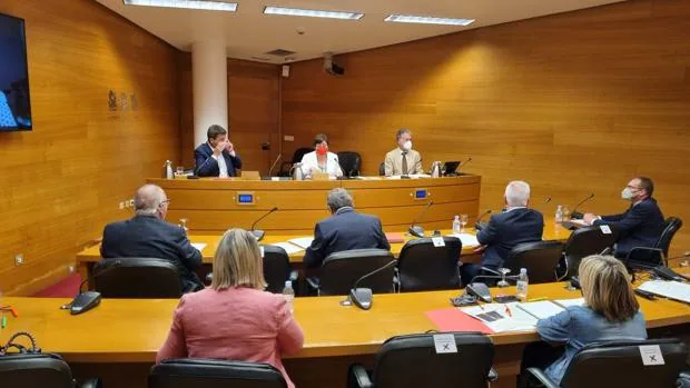 Carlos Mazón confía en llegar a un congreso de unidad sin rivales para presidir el PP de la Comunidad Valenciana