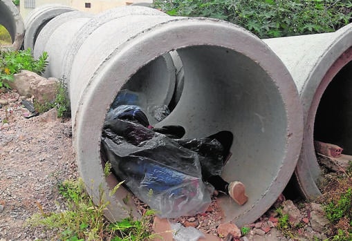 Cualquier sitio es bueno para ocultarse