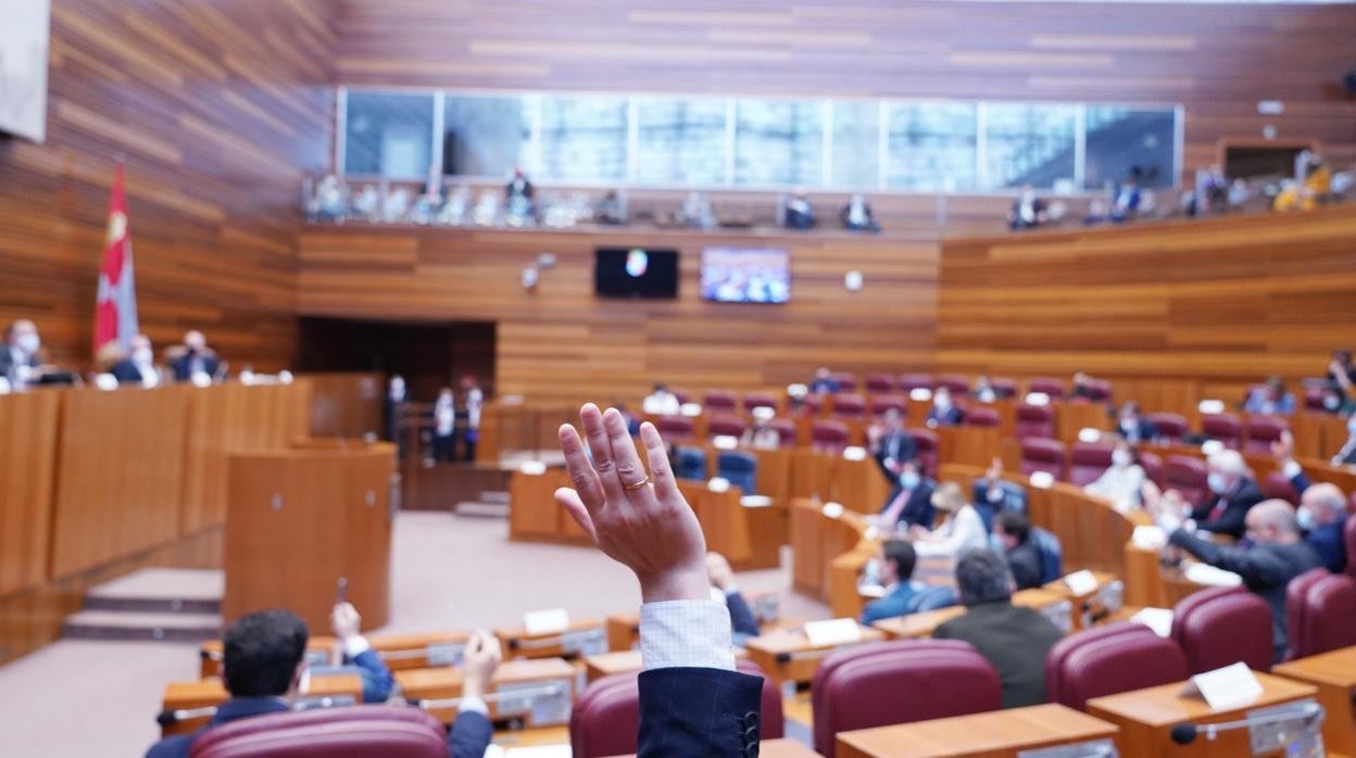 Pleno Cortes, en una imagen de archivo