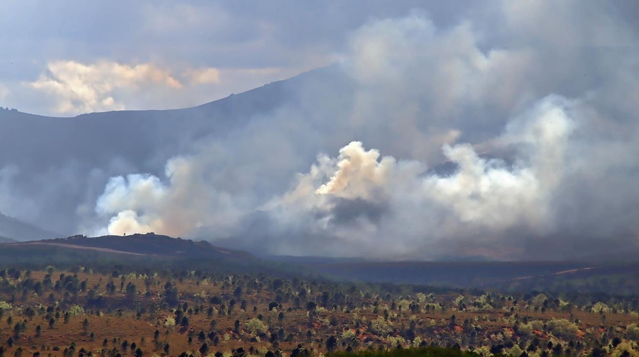 El incendio declarado en el campo de tiro del Teleno (León) afecta ya a 600 hectáreas