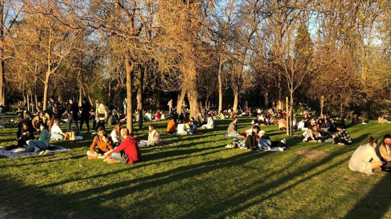 Varios grupos de ciudadanos disfrutan de una tarde soleada en el parque del Retiro