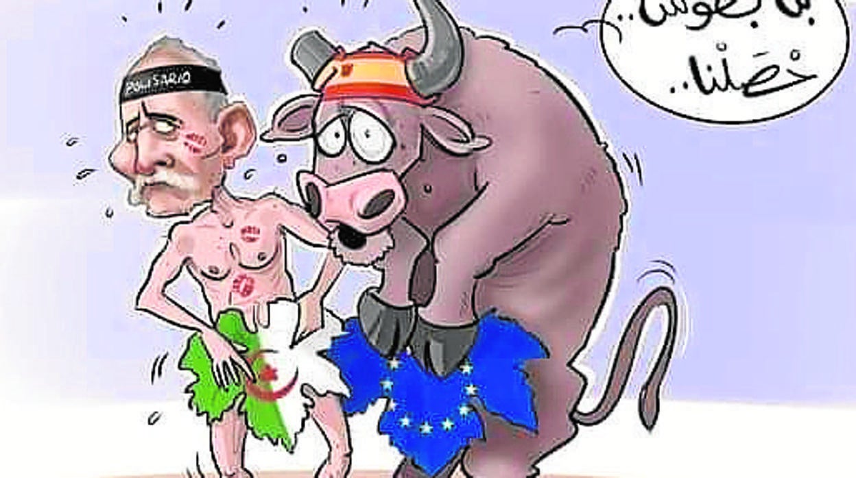 Halapress.com, uno de los medios de referencia en Marruecos publicó esta viñeta en la que se ve un toro, como símbolo de España, manteniendo relaciones con Brahim Gali. «Nos han pillado», dice el toro. El islam prohíbe las relaciones homosexuales