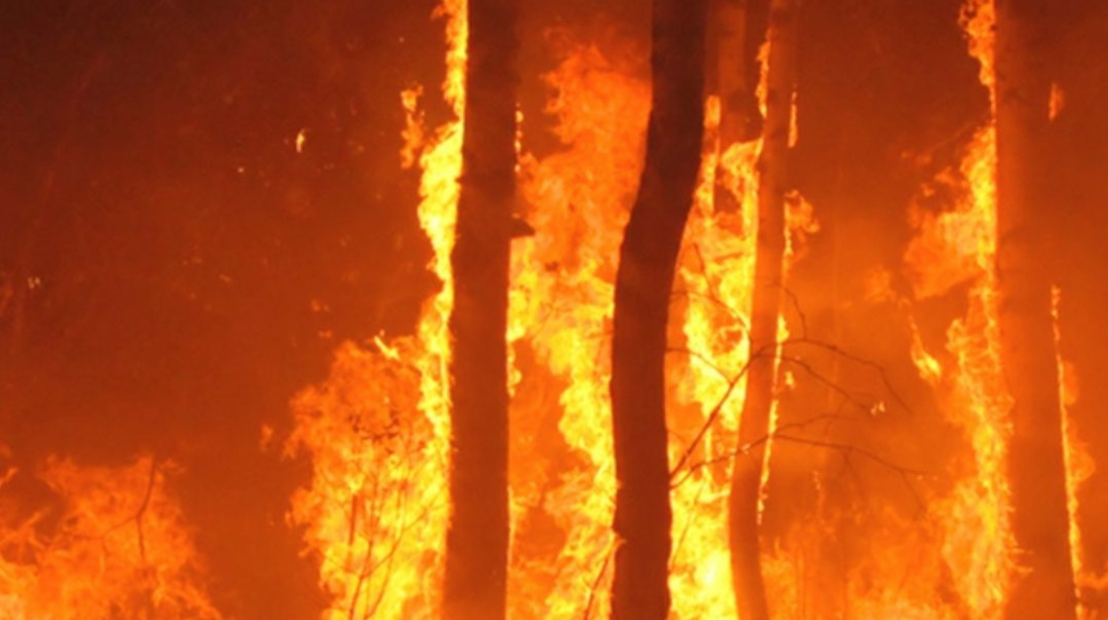 Alerta por temperaturas máximas y riesgo de incendio en Canarias