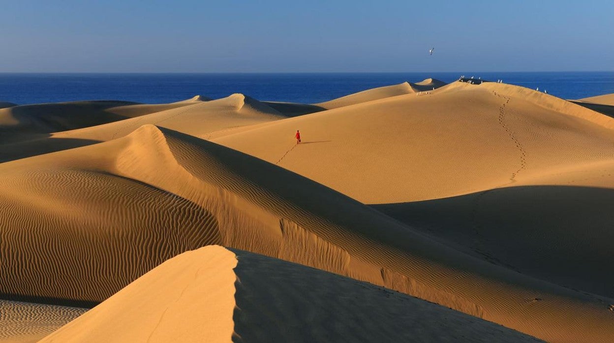 Reserva Natural de las Dunas de Maspalomas