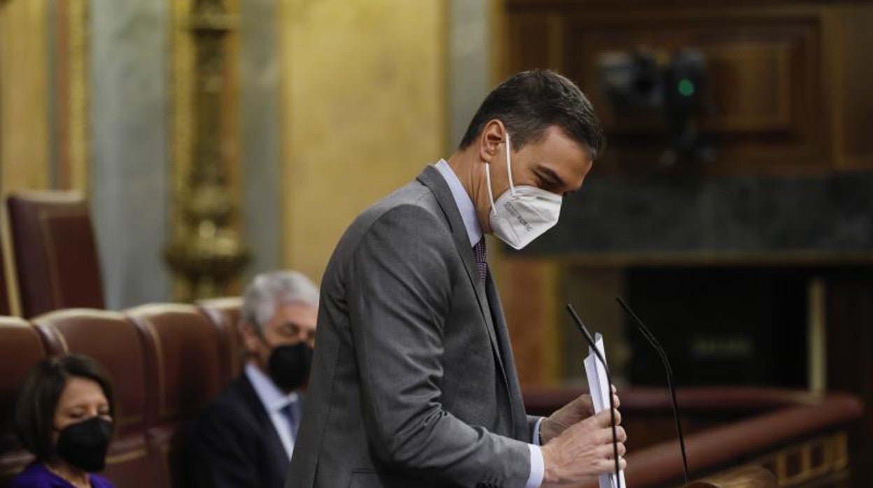 Pedro Sánchez en el Congreso