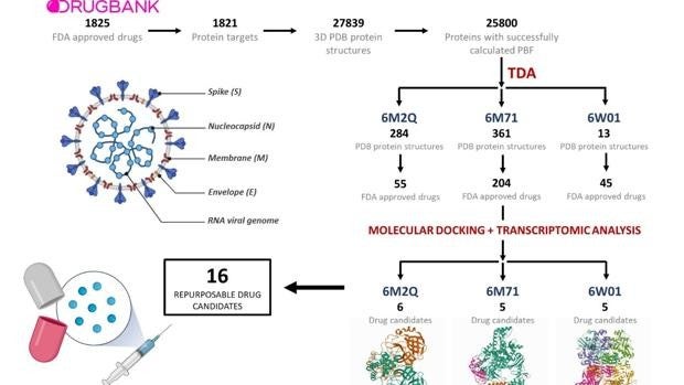 Investigadores valencianos identifican 16 fármacos contra el coronavirus con inteligencia artificial