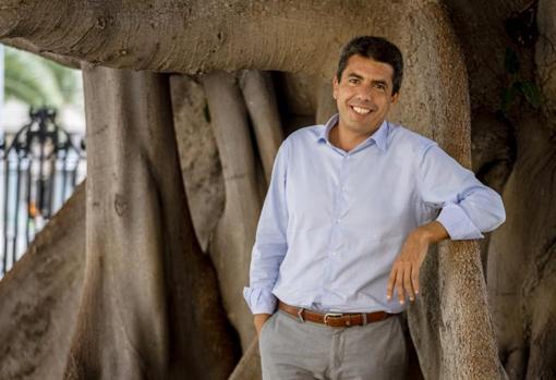 Mazón en el jardín del Palacio Provincial