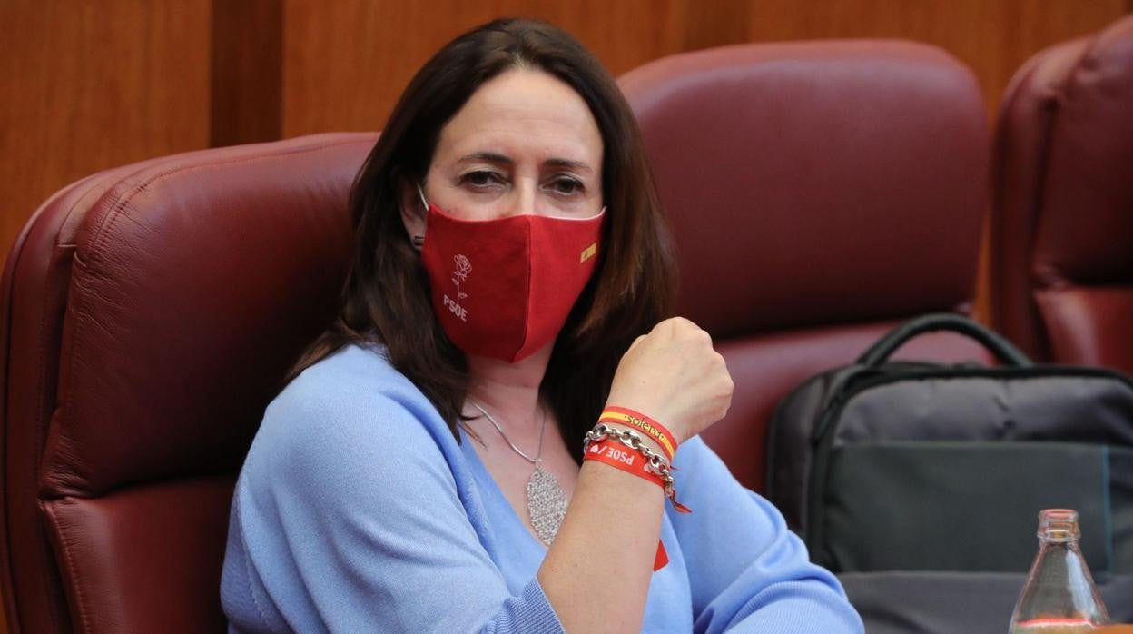 La procuradora socialista Rosa Rubio, durante el pleno