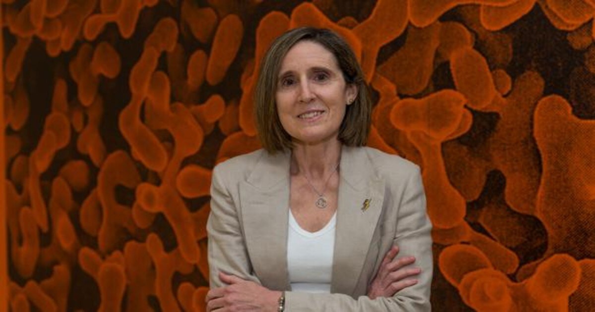 La investigadora del CSIC y codirectora del Laboratorio de Coronavirus del Centro Nacional de Biotecnología (CNB), Isabel Sola Gurpegui.