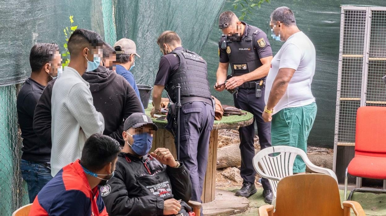 La Policía interviene en una pelea de gallos, en San Sebastián de los Reyes