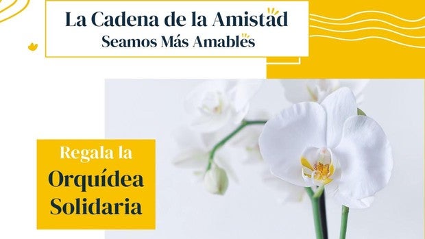 «Orquídeas solidarias» en busca de amistad para las personas con discapacidad intelectual