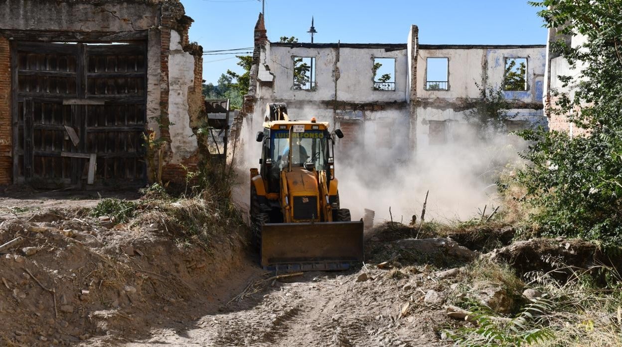 Una máquina limpia el terreno