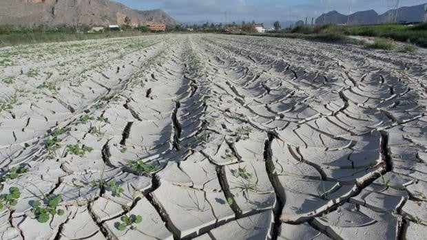 Orihuela, un «horno» a 43 grados con la temperatura más alta en 12 años