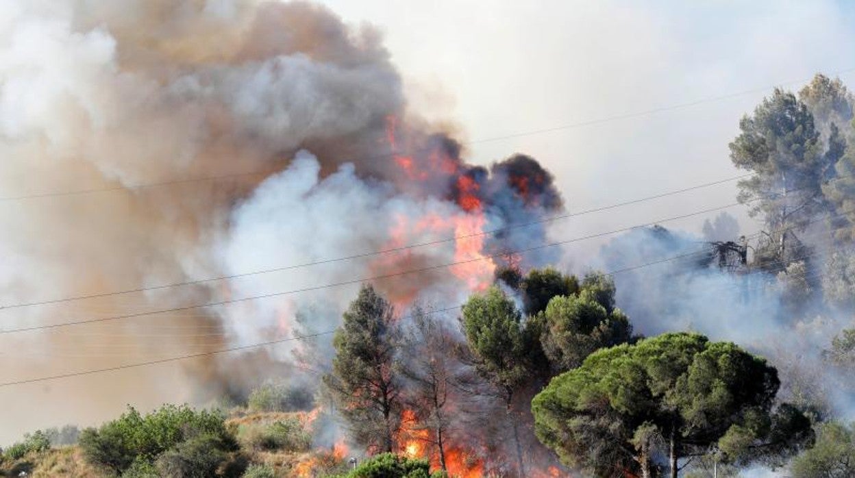 Detalle del fuego, este miércoles por la mañana