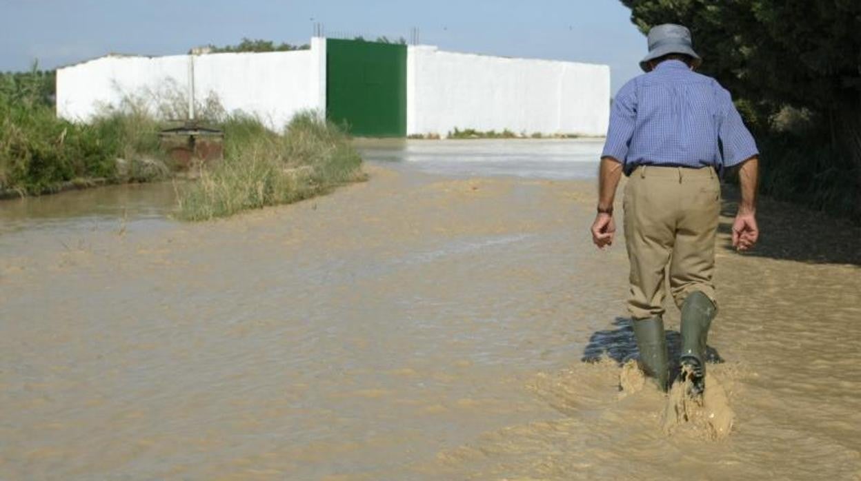 Un lugareño camina por sus fincas inundadas durante una de las frecuentes riadas del Ebro