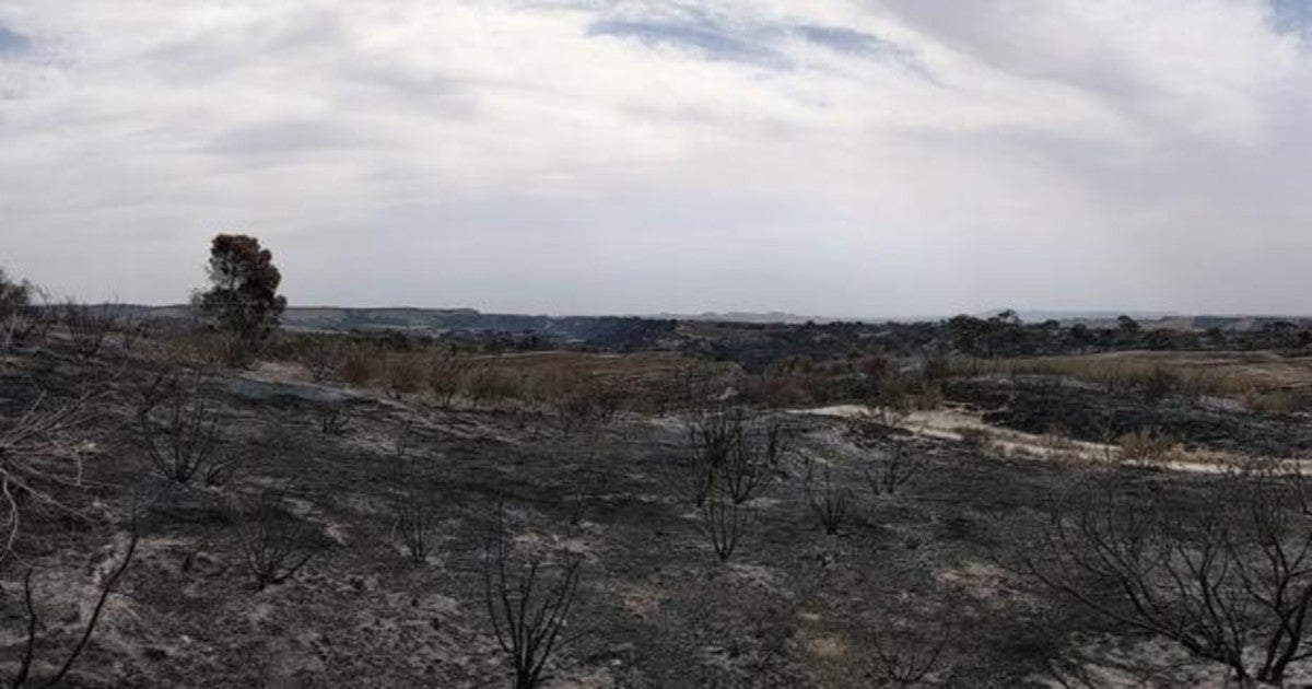 Imagen de la zona afectada por el incendio en Bardenas, en el vedado de Eguaras.