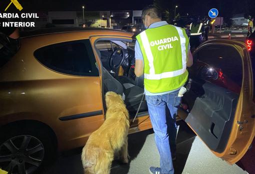 Un perro de la Guardia Civil registra un vehículo