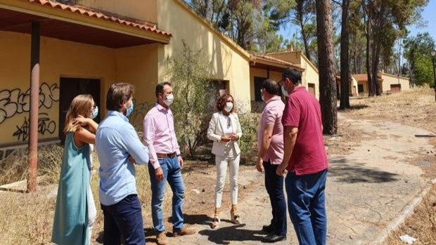 Proyecto para unir los pinares de la A-42 en Olías del Rey con un corredor verde