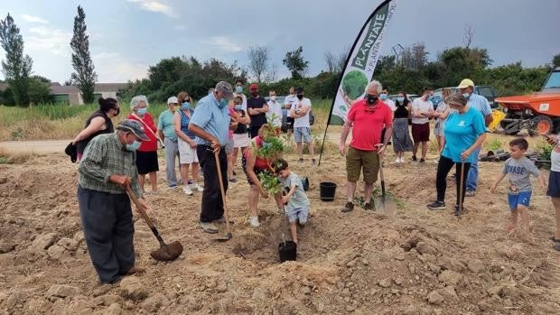 Cerca de 1.400 personas plantan 2.500 árboles con el proyecto Arbolar 21 de la Diputación de Salamanca