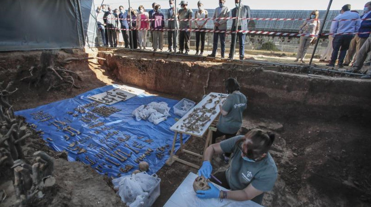 Imagen de la exhumación de la fosa de Pico Reja, en Sevilla